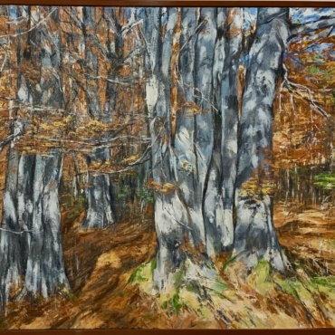 Kupres Autumn of and Old Beech 3