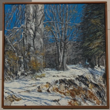 Kupres Winter near Kukavičje Jezero 2