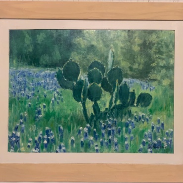 Austin Texas Bluebonnets