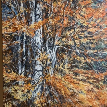 Kupres Autumn of an Old Beech 2