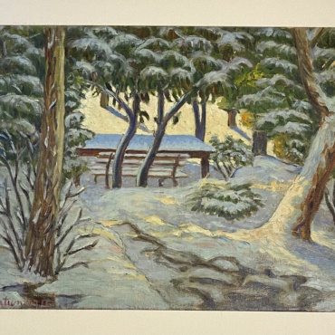 Park in the Snow